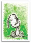 Tom Everhart Tom Everhart Gang Star Dreams